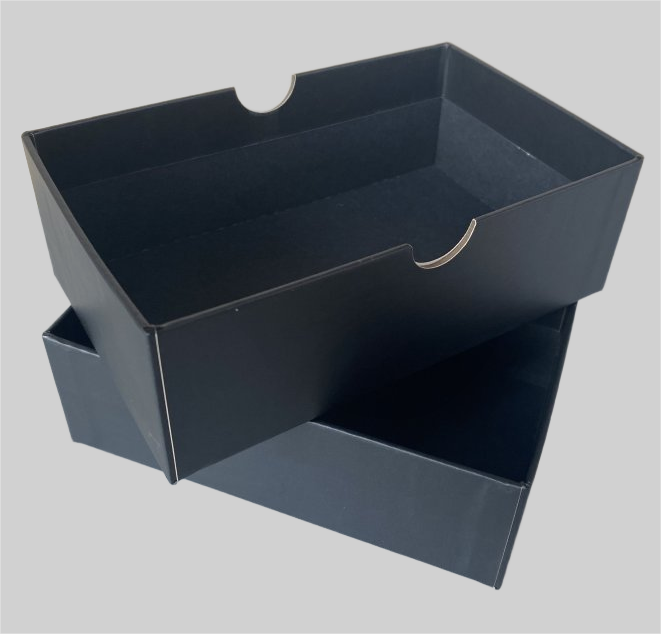 removebg - 2025-02-23T103730.024