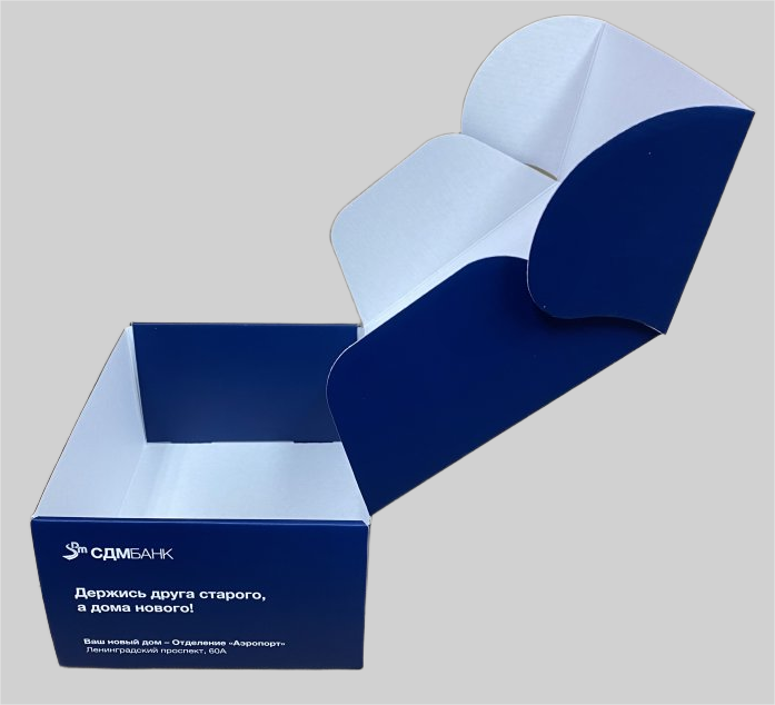 removebg (60)